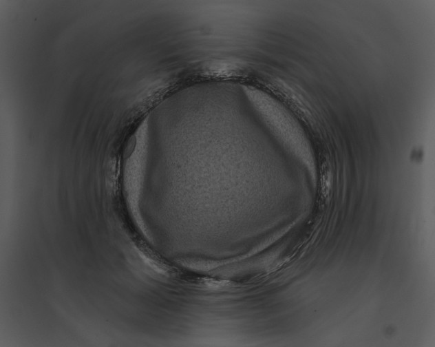 X0000095550605200801041332