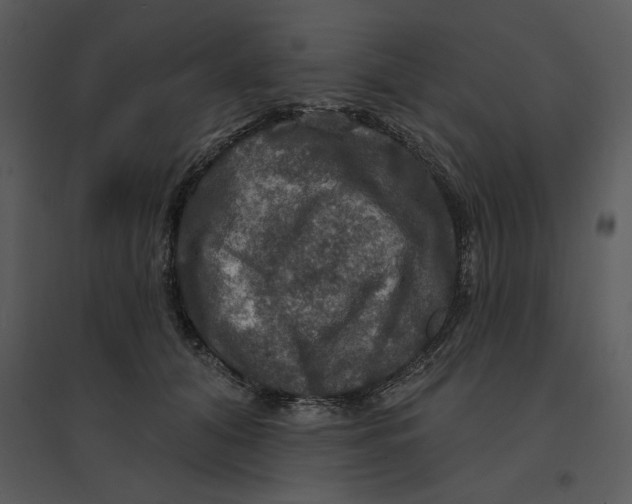 X0000095550608200801041332