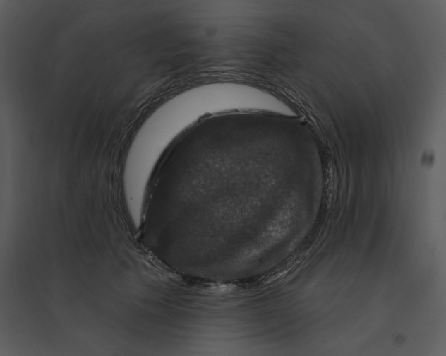 X0000095550609200801041332