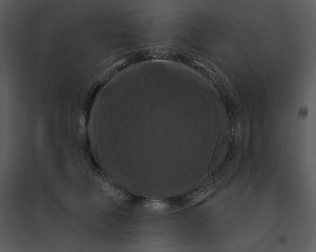 X0000095550610200801041332