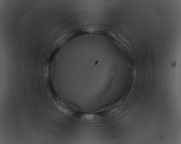 X0000095550611200801041332