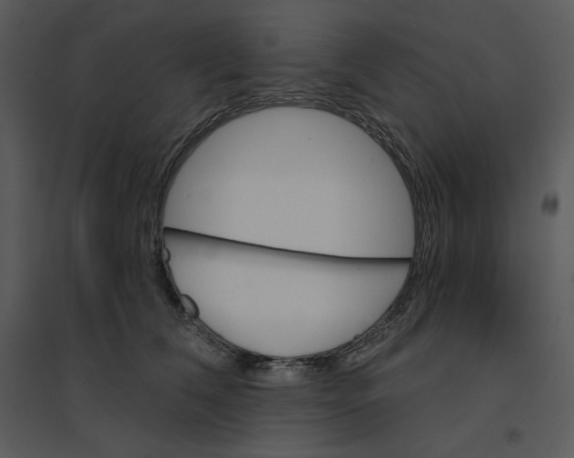 X0000095550612200801041332