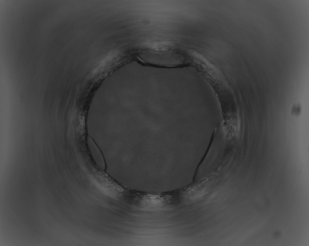 X0000095550613200801041332