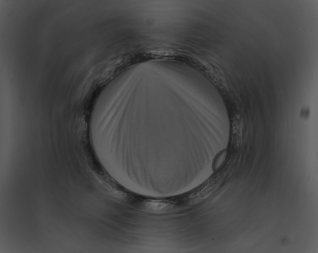 X0000095550614200801041332