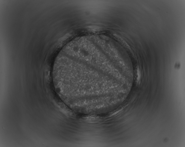 X0000095550615200801041332