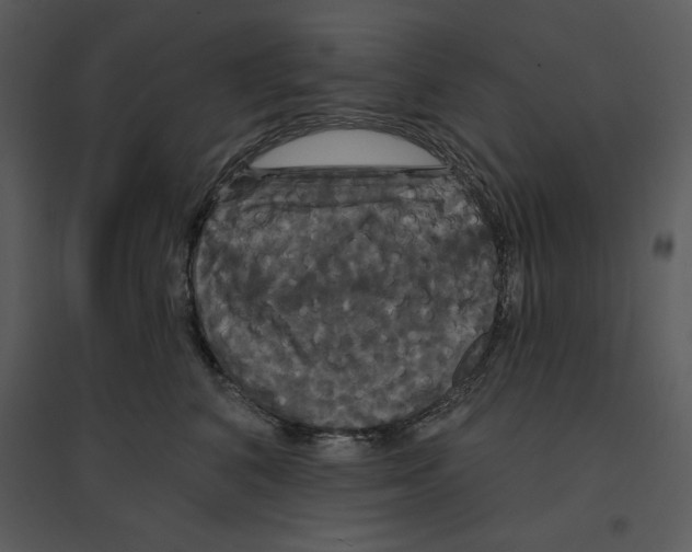 X0000095550616200801041332