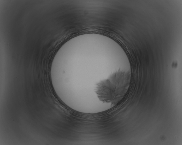 X0000095550617200801041332