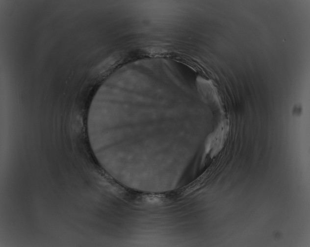 X0000095550618200801041332