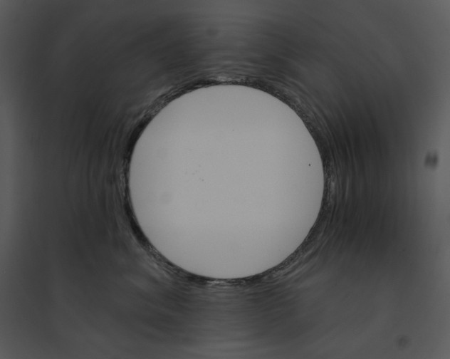 X0000095550620200801041332