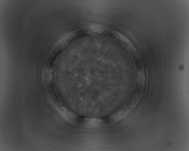 X0000095550621200801041332