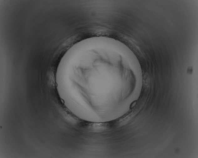 X0000095550622200801041332