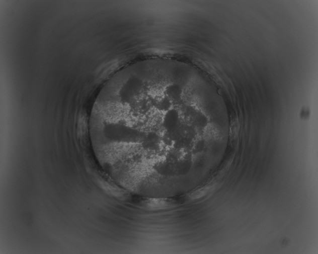 X0000095550623200801041332