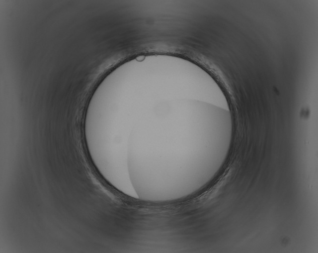 X0000095550625200801041331