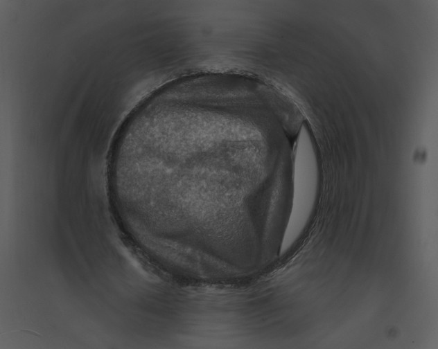 X0000095550626200801041331