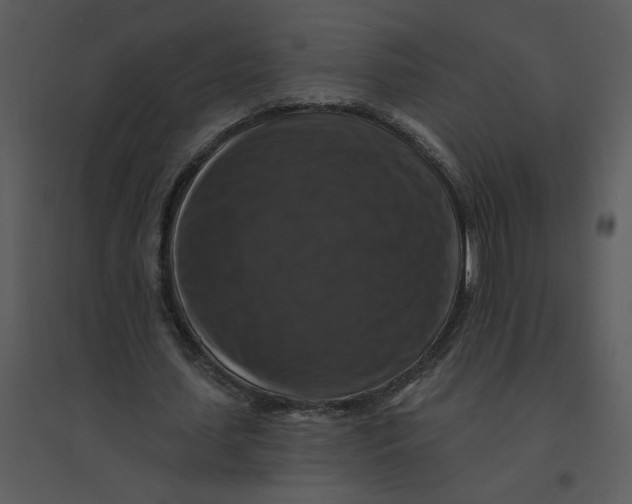 X0000095550627200801041331