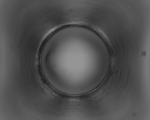 X0000095550628200801041331