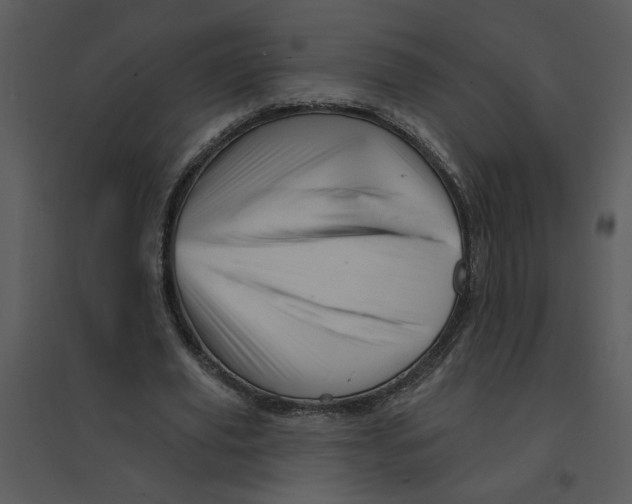 X0000095550629200801041331