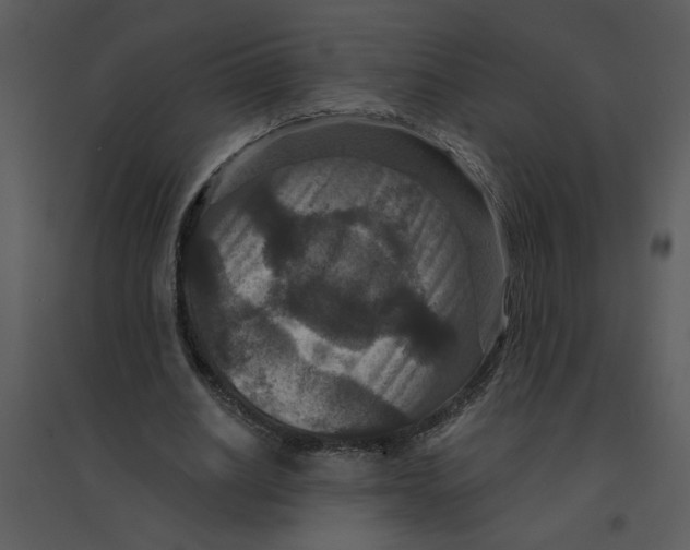 X0000095550630200801041331