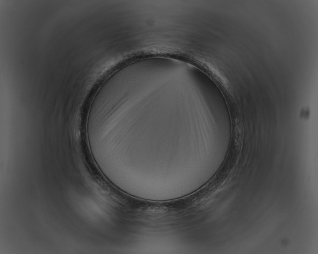 X0000095550631200801041331