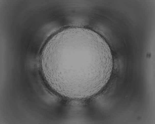 X0000095550632200801041331