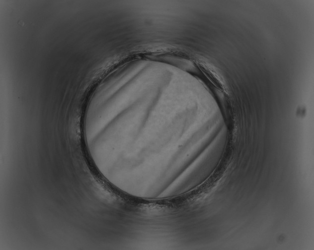 X0000095550633200801041331