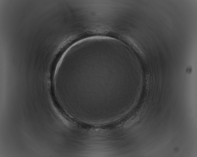 X0000095550634200801041331