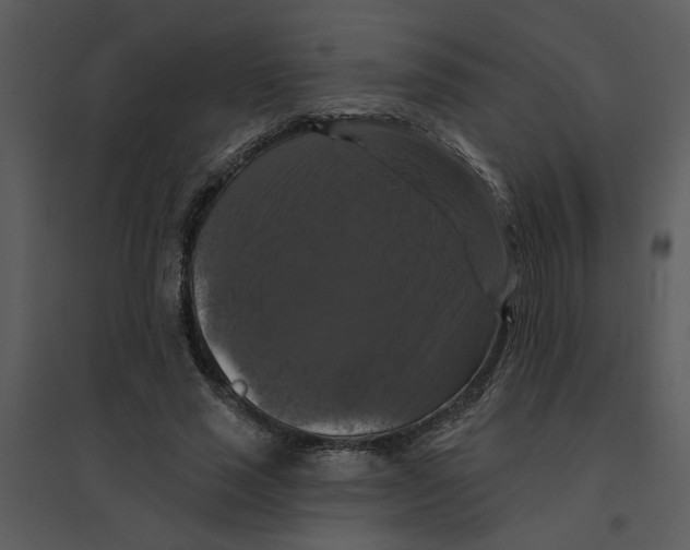 X0000095550637200801041332