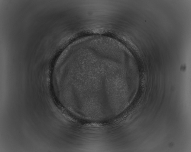 X0000095550639200801041332