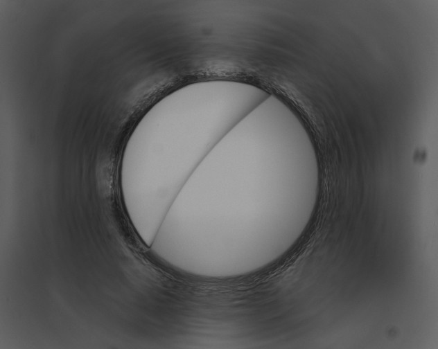 X0000095550640200801041332