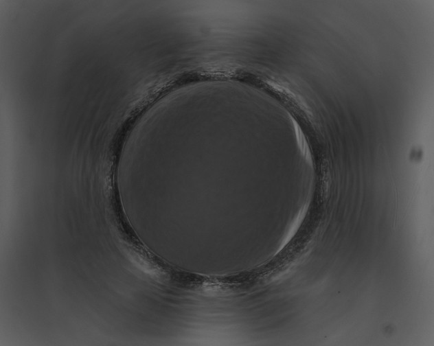 X0000095550641200801041332