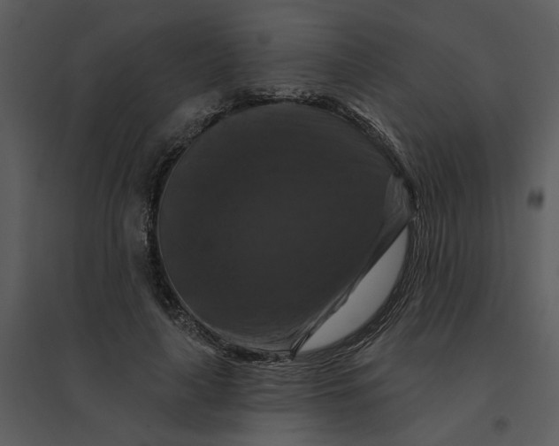 X0000095550643200801041332