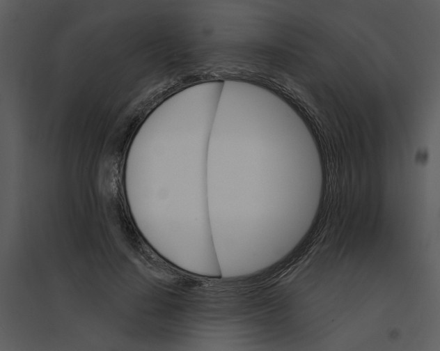 X0000095550644200801041332