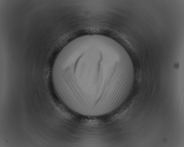 X0000095550645200801041332