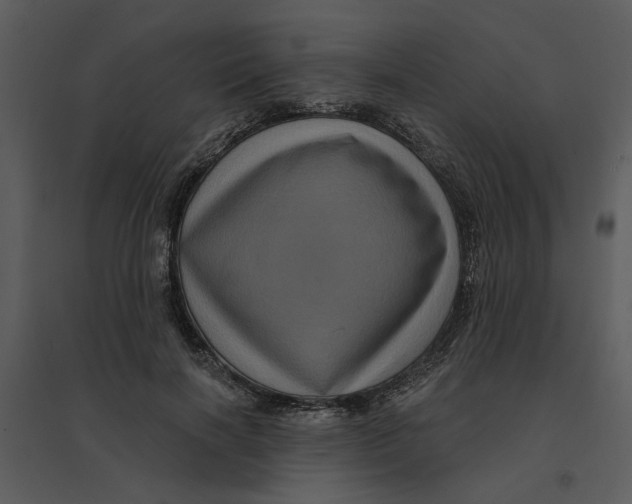 X0000095550646200801041332