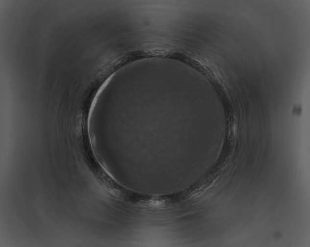 X0000095550647200801041332