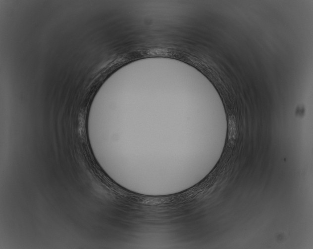 X0000095550648200801041332