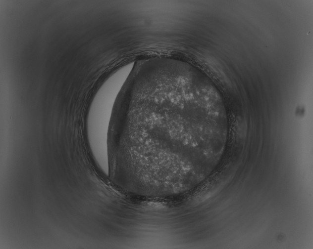 X0000095550649200801041332