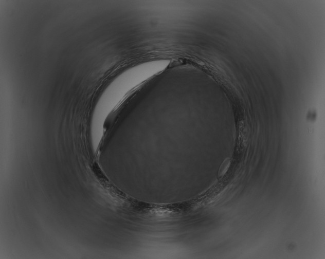 X0000095550650200801041332