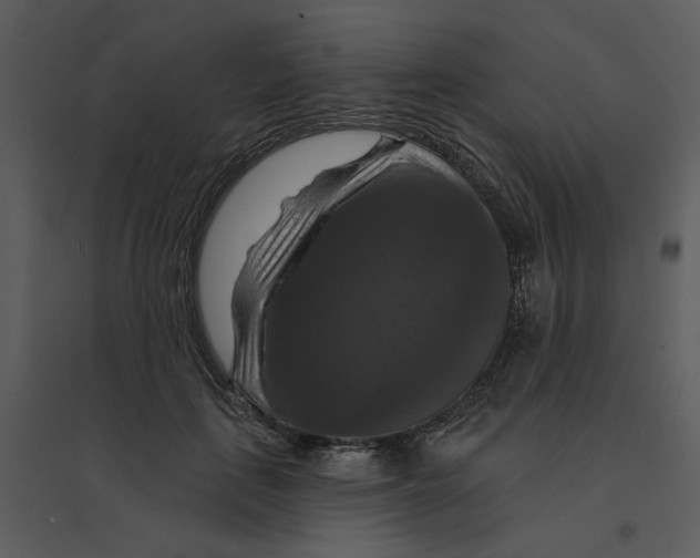 X0000095550651200801041332