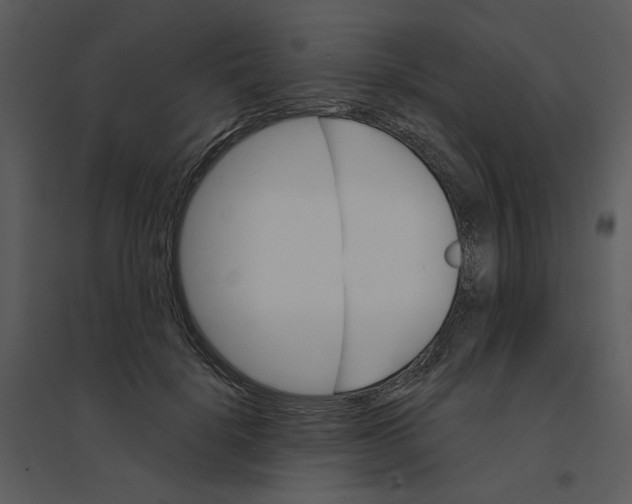 X0000095550652200801041332