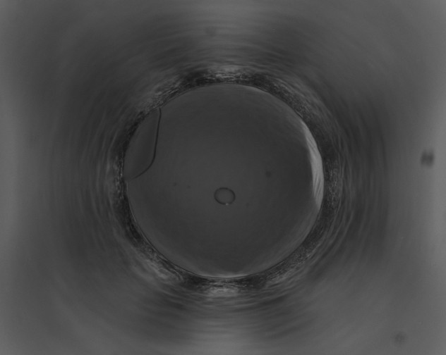 X0000095550653200801041332