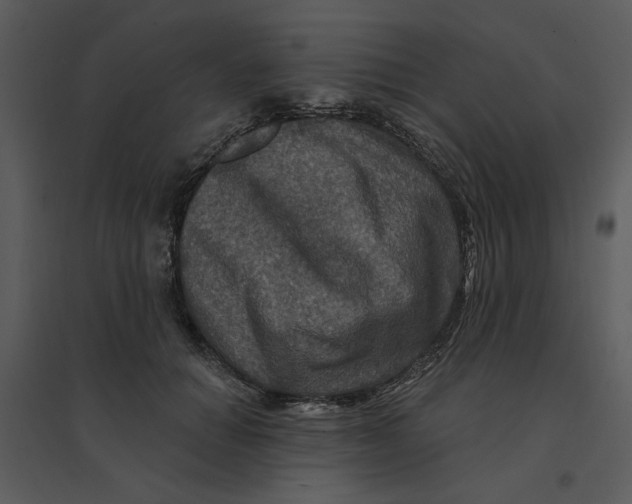 X0000095550654200801041332