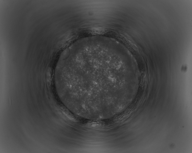 X0000095550655200801041332