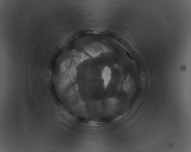 X0000095550657200801041332