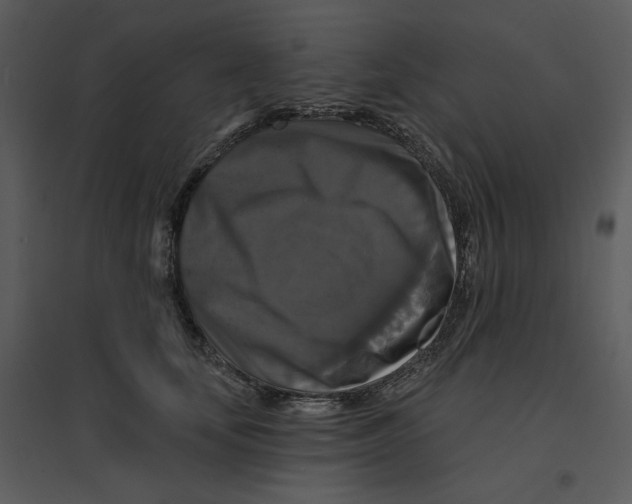 X0000095550659200801041332