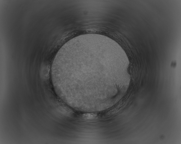 X0000095550660200801041332