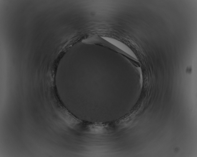 X0000095550661200801041332