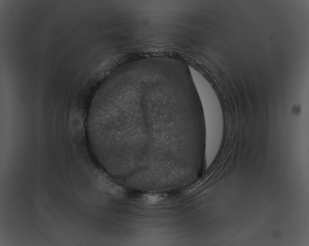 X0000095550662200801041332