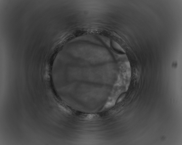 X0000095550663200801041332