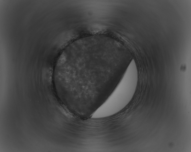 X0000095550664200801041332